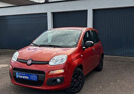 Fiat Panda Easy 8Fach Klima Tüv Neu