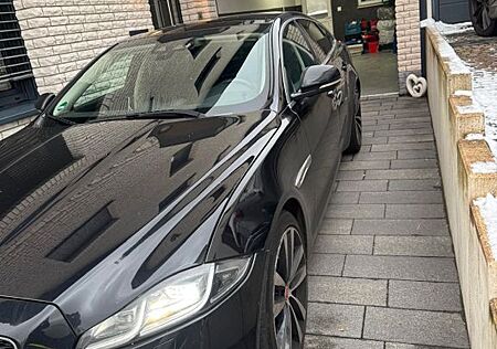 Jaguar XJ XJ50 3.0 V6 Diesel XJ50
