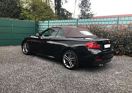 BMW 220d Cabrio M Sport Leder,Kamera,S-System,Voll