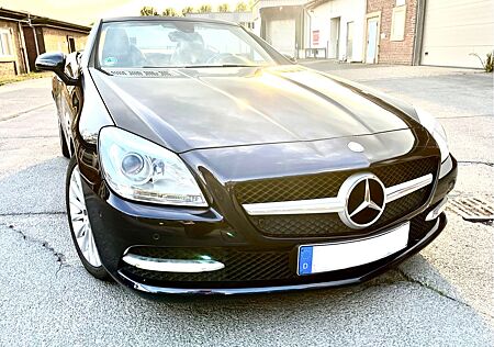 Mercedes-Benz SLK 200 Kompressor Volleder Ambiente