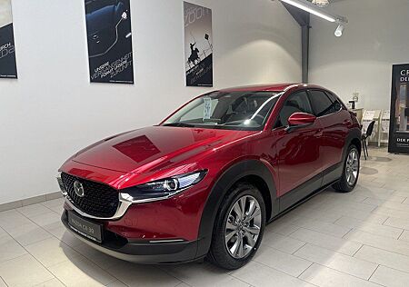 Mazda CX-30 2.0L e-SKYACTIV G, Bose, 360 Grad, Navigat