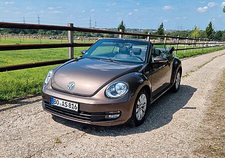 VW Beetle Volkswagen 1.6 TDI Cabriolet - 16 Zoll Allwetter