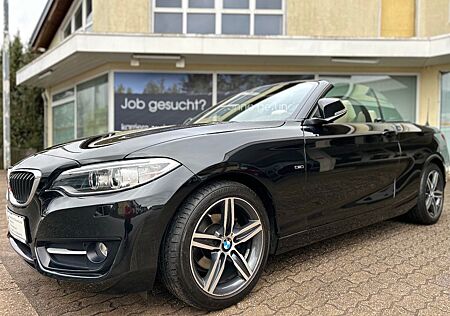 BMW 218 2 Cabrio i Bi-Xenon Navi Leder Alu Pdc Euro6