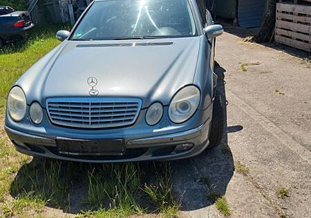 Mercedes-Benz E 280 CDI T ELEGANCE Elegance