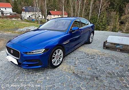 Jaguar XE P300 SE AWD SE