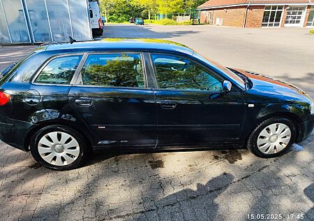 Audi A3 2.0 TDI 125kW 8-fach Bereifung