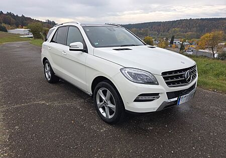 Mercedes-Benz ML 250 BlueTEC 4MATIC -