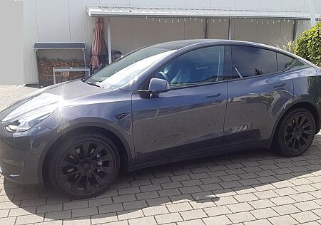 Tesla Model Y Performance Dual Motor AWD Performance