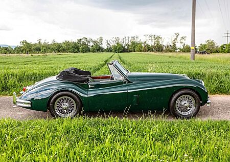 Jaguar XK 140 DHC - 1-a-gepflegt - nur 11 tsd km