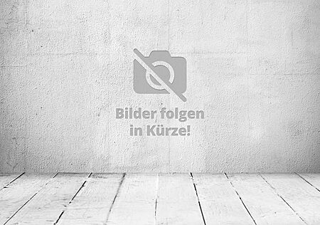Skoda Kodiaq Ambition 4x4*7-SITZE*LED*CARPLAY*