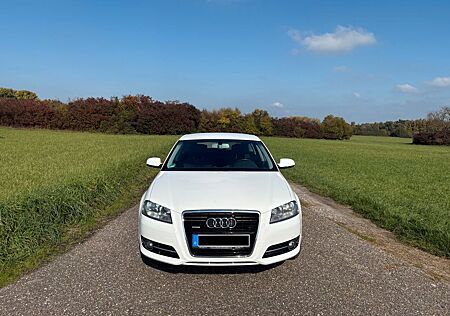 Audi A3 2.0 TDI quattro Sportback Ambition Standheizg