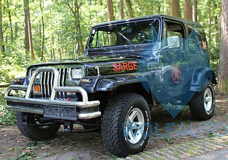 Jeep Wrangler 2.5i Hardtop LEUKE Orginal !