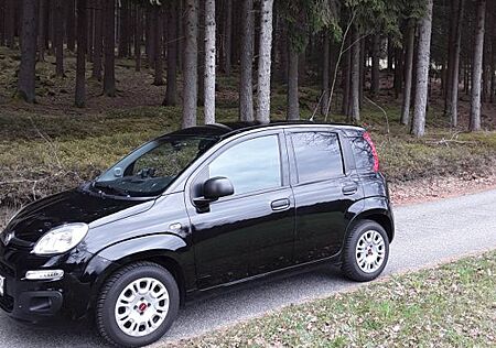 Fiat Panda 1.2, Typ 312, Mehrzweckfahrzeug