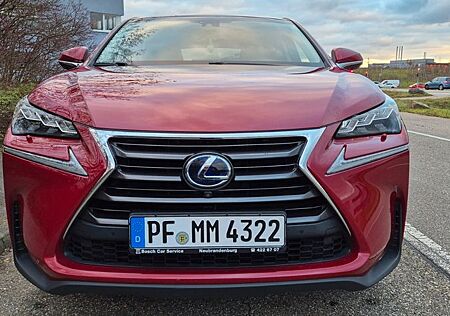 Lexus NX 300 NX 300h E-FOUR Luxury Line*8-fach*PANO*LED*HUD