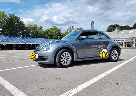 VW Beetle Volkswagen Gepflegter 1.2 TSI