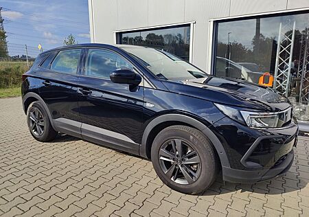 Opel Grandland X Grandland (X) Biseness Edition Kamera Navi