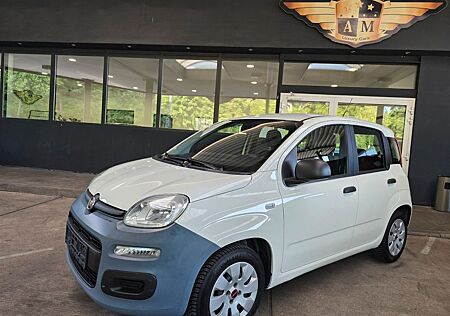 Fiat Panda 1.2 Pop BLANCO/AW-Reifen/1.Hand