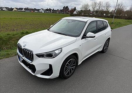 BMW iX1 xDrive30 - AC 22 KW M Paket Massage HUD AHK