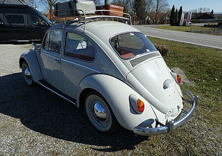 Volkswagen Käfer H-Kennzeichen
