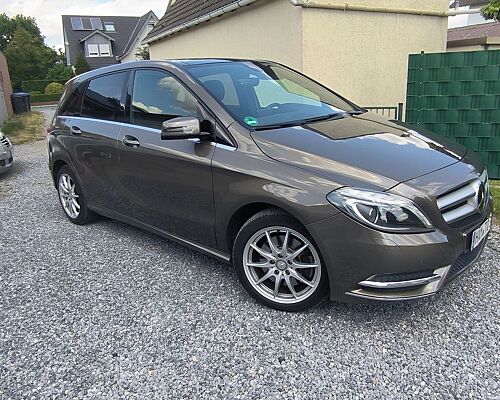 Mercedes-Benz Mercedes Benz B 220CDI mit Top Ausstattung & Gar