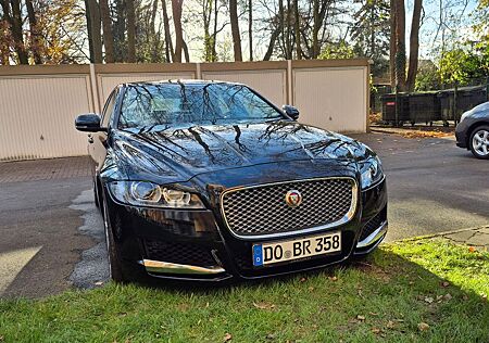 Jaguar XF 3.0 221kW(300PS) Automatik