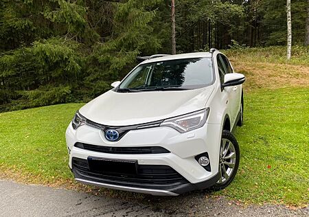 Toyota RAV 4 2,5-l-Hybrid Comfort Auto 4x4