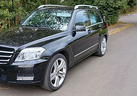 Mercedes-Benz GLK 220 CDI BlueEFFICIENCY -