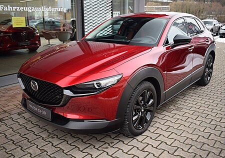 Mazda CX-30 2.5 140ps 6AG Nagisa Bose Voll-LED Navi uv
