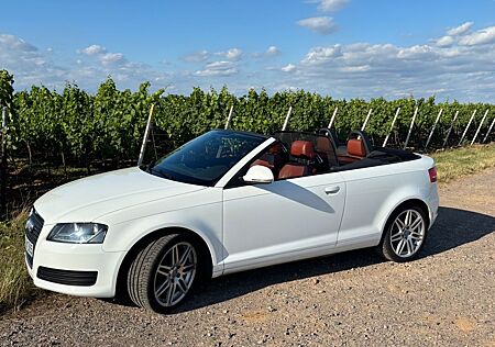 Audi A3 1.6 Cabriolet