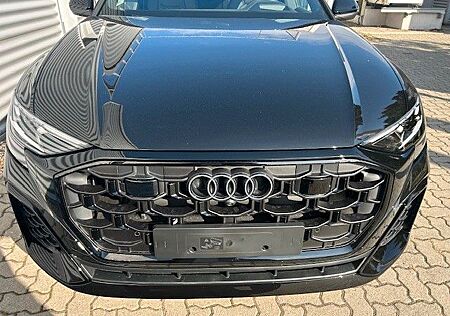 Audi Q8 50 TDI quattro S-Line Facelfit, Matrix