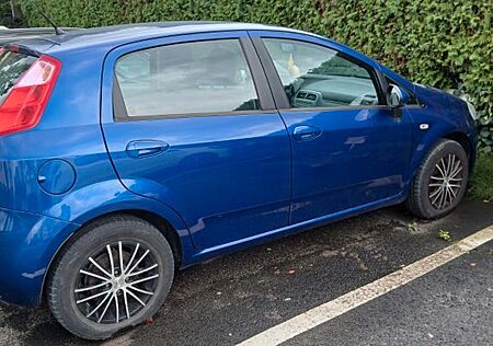 Fiat Punto gebraucht kaufen Fiat Punto 1.4 8V Dynamic Dynamic