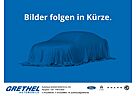 Ford Fiesta Cool & Connect DAB SHZ LenkradHZG Spurhal