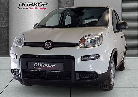 Fiat Panda Pandina 1.0 GSE Cross Mild Hybrid Klima Sp