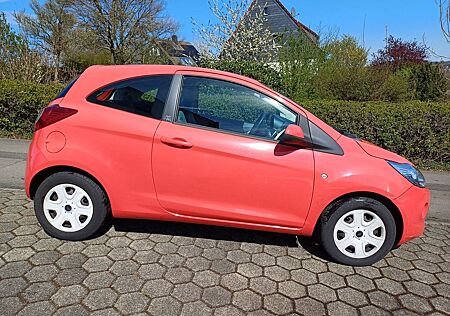 Ford Ka 1,2 Trend, Klima, el. Fensterheber
