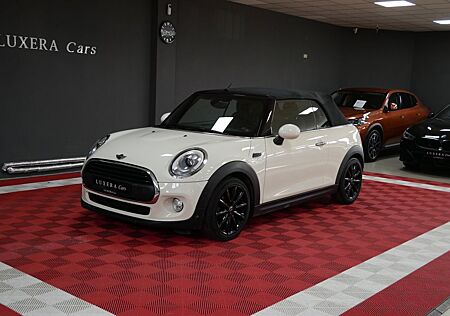 Mini One Cabrio Chili LED Navi SHZ Parkassist