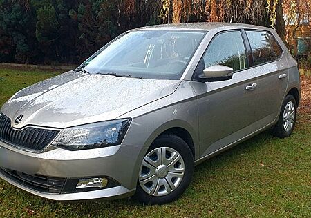 Skoda Fabia lll Tempomat Android Auto usw viele Extras
