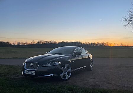 Jaguar XF 2.2 L Diesel -