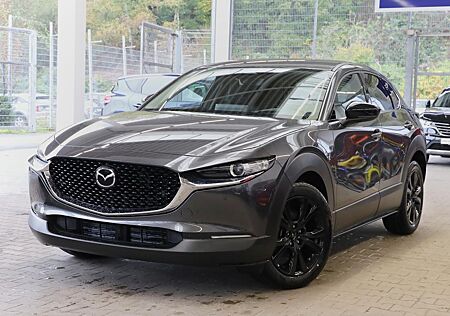 Mazda CX-30 2.5L G 6MT FWD Homura NAVI SHZ PDC