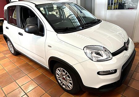 Fiat Panda Base 1.0 GSE Hybrid