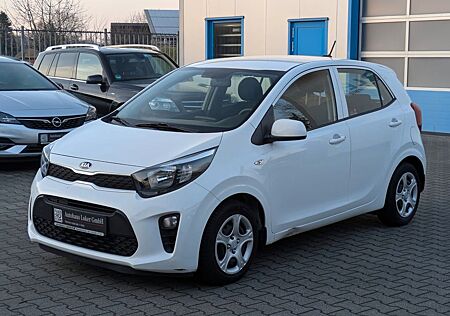 Kia Picanto Gebrauchsspuren Gewerbe / Händler