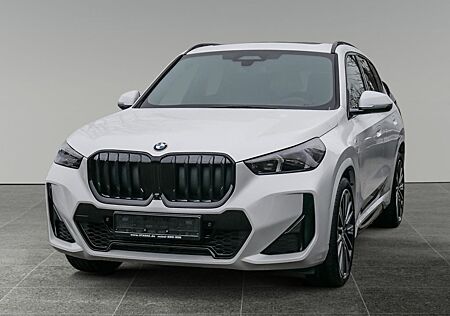BMW X1 xDrive 23d M-Sport, Innovationspaket, Panoram