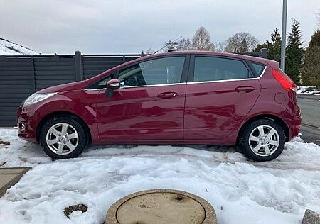 Ford Fiesta 1,25 60kW, Tüv 03/27, 8 fach bereift