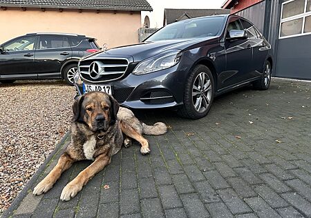 Mercedes-Benz E 300 Avantgarde BlueTEC