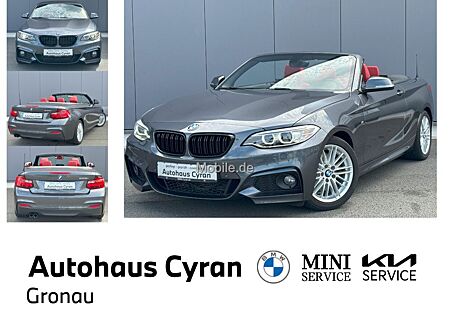 BMW 228i A M-SPORT 8-GANG LEDER XENON SHZ NAVI PDC