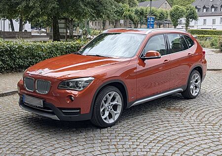 BMW X1 xDrive25d xLine Navi Prof. Xenon RFK GSD PDC