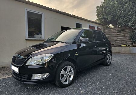 Skoda Fabia Fresh 1.6l TDI 66kW (90PS)