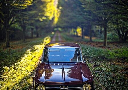 Alfa Romeo Giulia 1300 TI