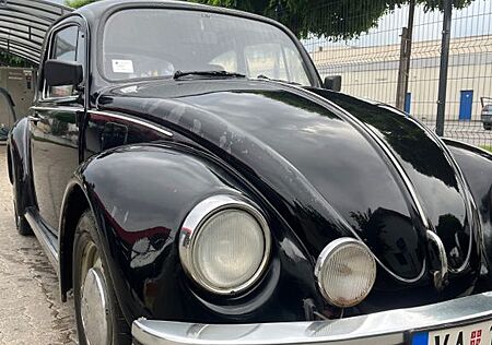 VW Beetle Volkswagen