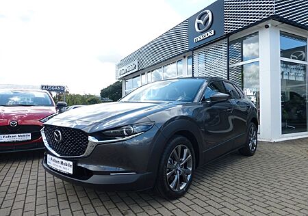 Mazda CX-30 Exclusive-Line *MATRIX-LED-SW, KAMERA*