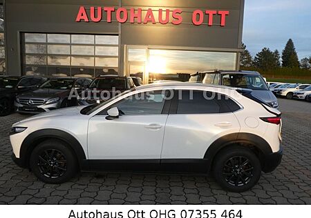 Mazda CX-3 CX-30 Selection 2WD Automatik Kamera